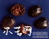 微信小程序开发公司